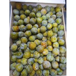 Reines Claudes - 1kg - BIO - FR