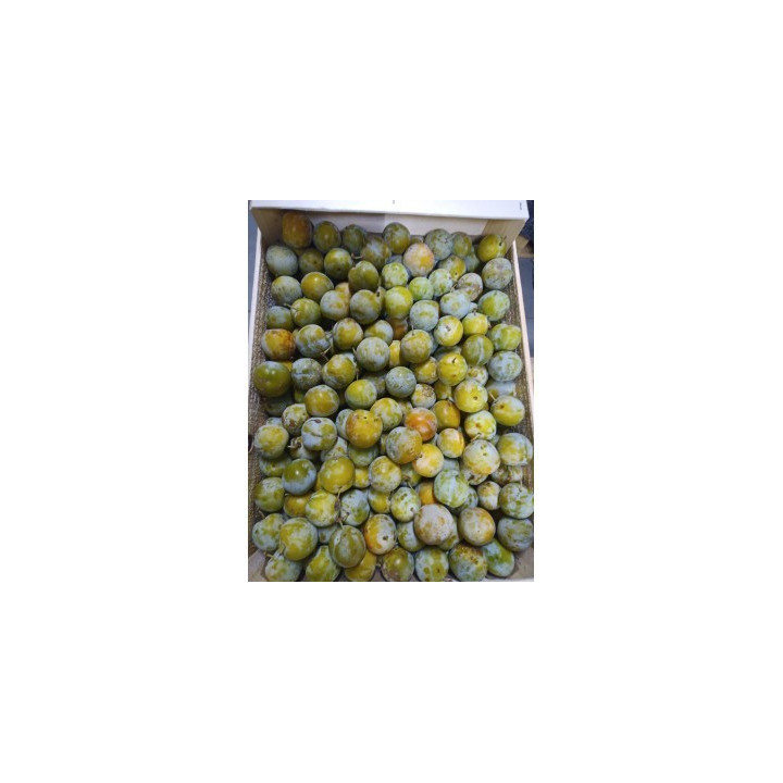 Reines Claudes - 1kg - BIO - FR
