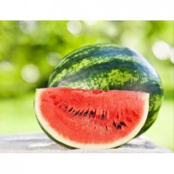 Pastèque Bio