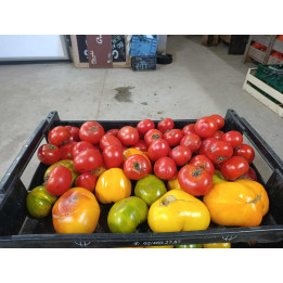 Tomates Sauce Bio (5kg)