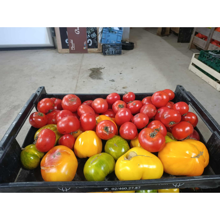 Tomates Sauce Bio (5kg)