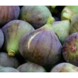 Figues VERTES - 250g - BIO...