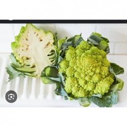 Chou romanesco bio