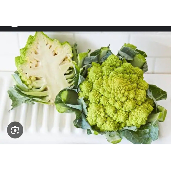 Chou romanesco bio