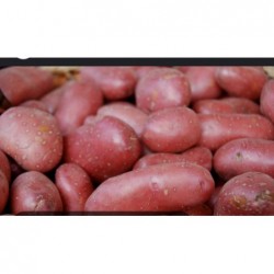 Pdt peau  rouge 3kg