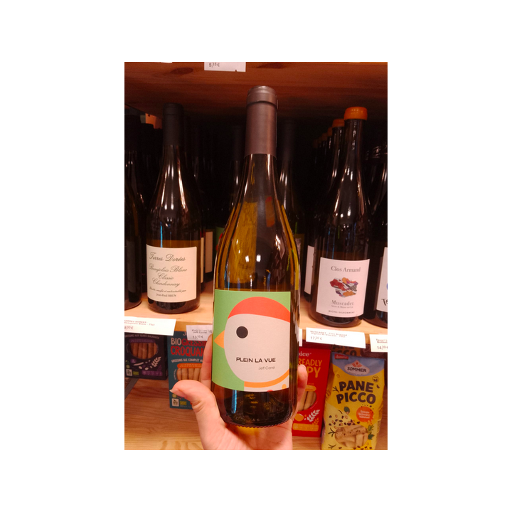 Vin blanc - Plein la vue - 11,5% - Jeff Carrel - 75cl