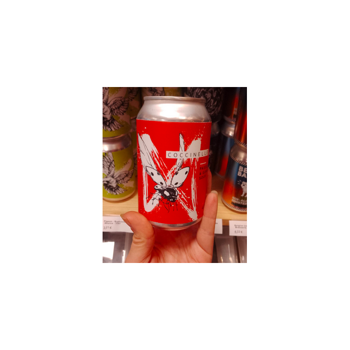 Bière - Coccinelle 4,5% - La Source - 33cl