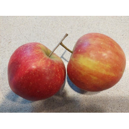 Pomme Rubinette petit calibre - 1 kg
