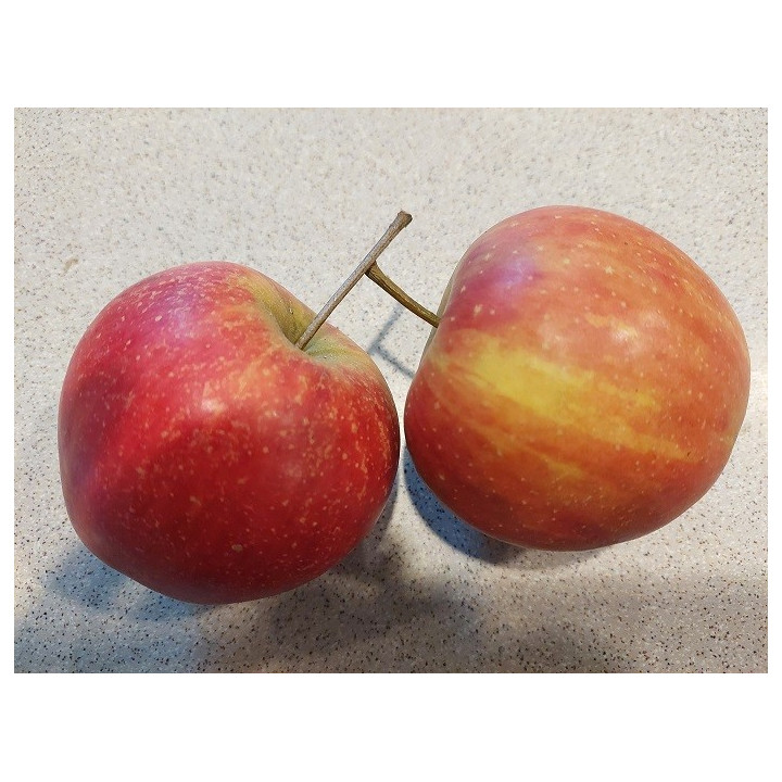 Pomme Rubinette petit calibre - 1 kg