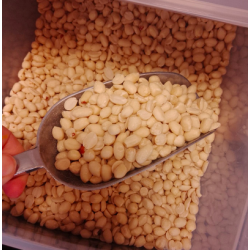 Cacahuètes SANS SEL Vrac*250g