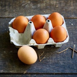 Oeufs bio extra frais M