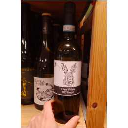 Vin blanc - Pinot grigio - 12,5% - Wild nature - 75l