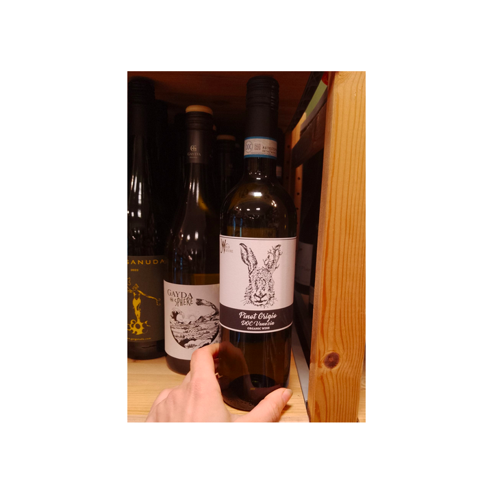 Vin blanc - Pinot grigio - 12,5% - Wild nature - 75l