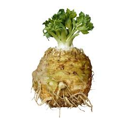 Céleri rave / Knolselder 1kg