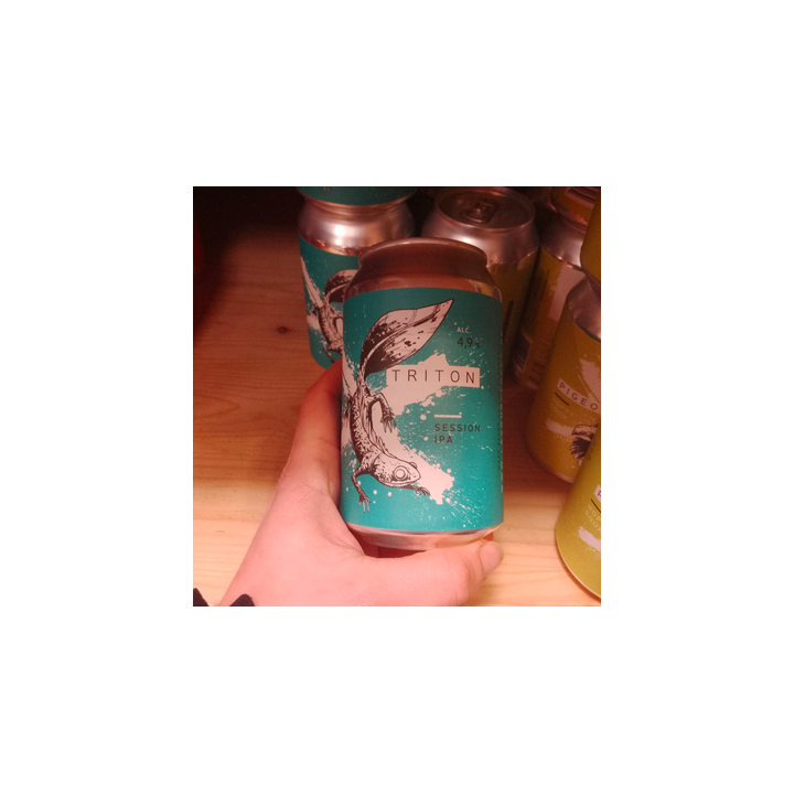 Bière - Triton 4,9% - La Source - 33cl