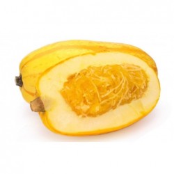 Courge spaghetti - pompoen...