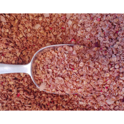 Crunchy FRUITS ROUGES -...