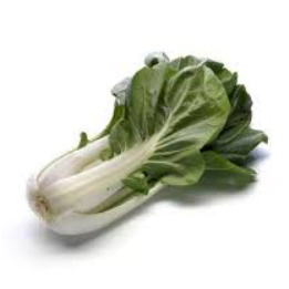 Chou pakchoï bio