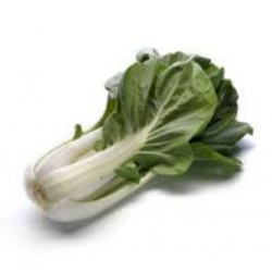 Chou pakchoï bio