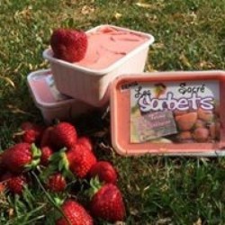 Sorbet fraise – 500ml