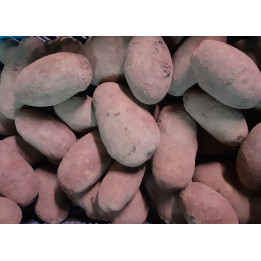 Pomme de terre rouge 'Alouette' 1kg