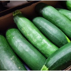 Courgettes - 1kg - bio ES