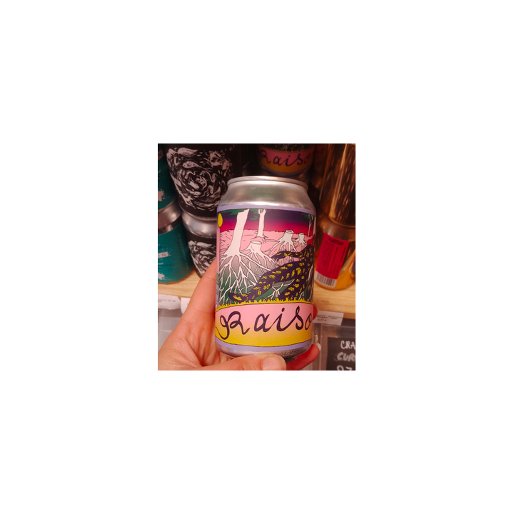Bière - La raison - 6,3% - 33cl