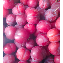 Prunes ROUGES - 1kg - BIO - ES
