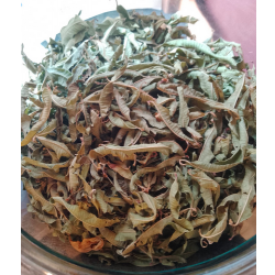 Infusion VERVEINE bio –...