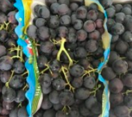 Salade de chou-fleur, raisins noirs et cheddar