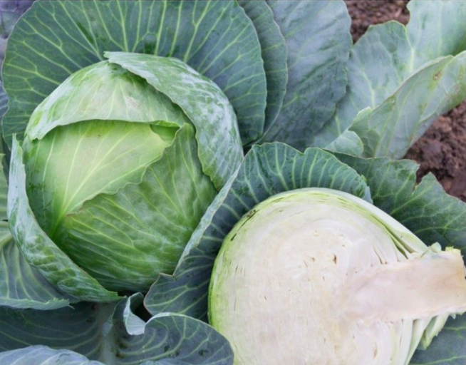 Coleslaw de la Nouvelle Orléans