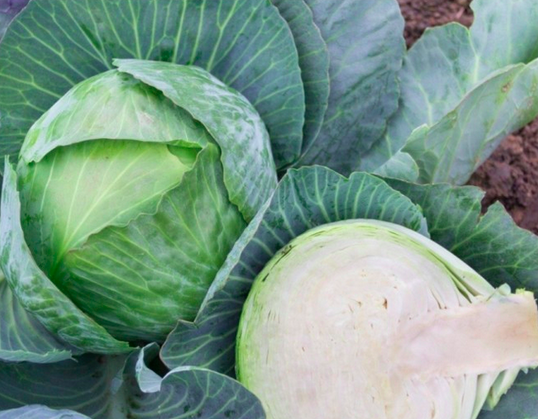 Soupe de chou blanc et pois cassés