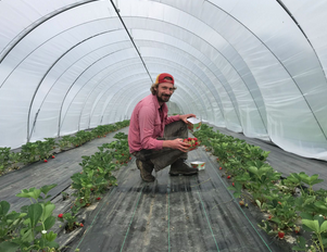Guigui's farm
